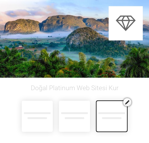 Doğal Platinum Web Sitesi Kur