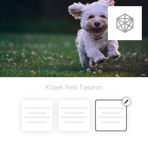 Köpek Web Tasarım